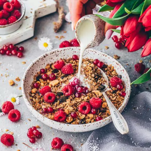 Granola selber machen Veganes Knuspermüsli Rezept Bianca Zapatka